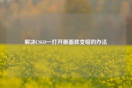 解决CSGO一打开画面就变暗的办法