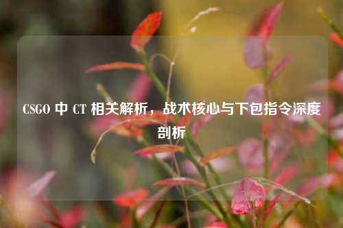 CSGO 中 CT 相关解析,战术核心与下包指令深度剖析