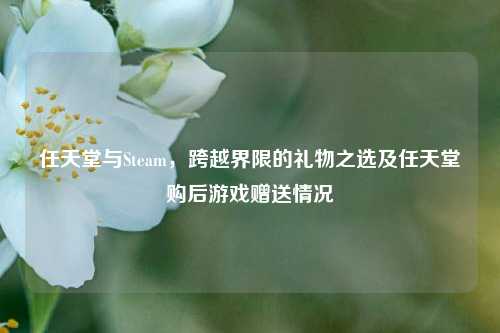 任天堂与Steam,跨越界限的礼物之选及任天堂购后游戏赠送情况