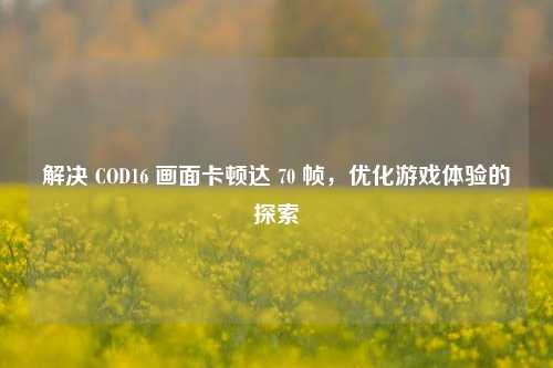 解决 COD16 画面卡顿达 70 帧,优化游戏体验的探索