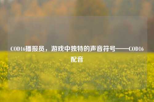 COD16播报员,游戏中独特的声音符号——COD16配音
