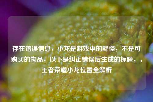 存在错误信息,小龙是游戏中的野怪,不是可购买的物品,以下是纠正错误后生成的标题,,王者荣耀小龙位置全解析
