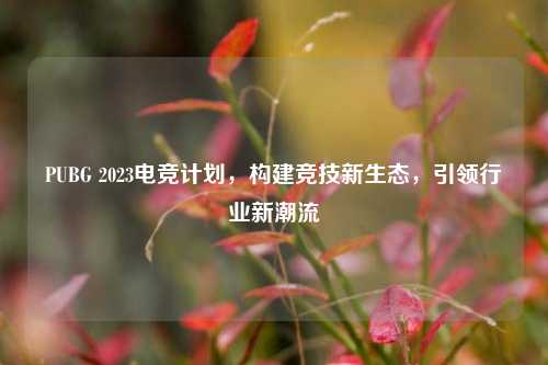 PUBG 2023电竞计划,构建竞技新生态,引领行业新潮流