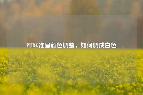 PUBG准星颜色调整，如何调成白色