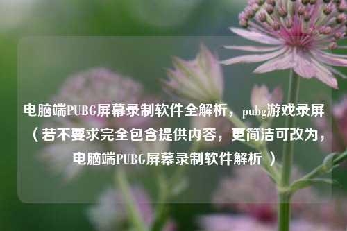 电脑端PUBG屏幕录制软件全解析，pubg游戏录屏 （若不要求完全包含提供内容，更简洁可改为，电脑端PUBG屏幕录制软件解析 ）