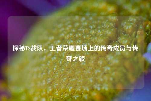 探秘TS战队，王者荣耀赛场上的传奇成员与传奇之旅