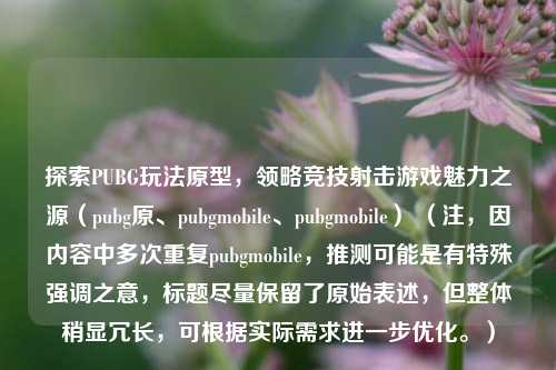 探索PUBG玩法原型，领略竞技射击游戏魅力之源（pubg原、pubgmobile、pubgmobile） （注，因内容中多次重复pubgmobile，推测可能是有特殊强调之意，标题尽量保留了原始表述，但整体稍显冗长，可根据实际需求进一步优化。）