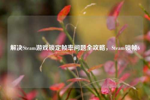 解决Steam游戏锁定帧率问题全攻略，Steam锁帧60