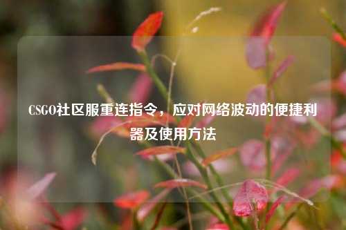 CSGO社区服重连指令，应对网络波动的便捷利器及使用方法