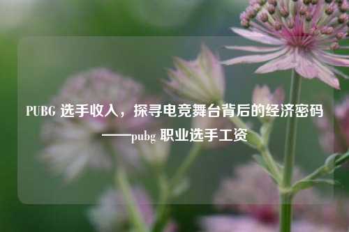 PUBG 选手收入,探寻电竞舞台背后的经济密码——pubg 职业选手工资