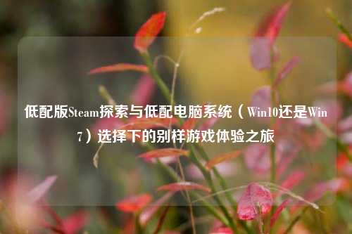 低配版Steam探索与低配电脑系统（Win10还是Win7）选择下的别样游戏体验之旅