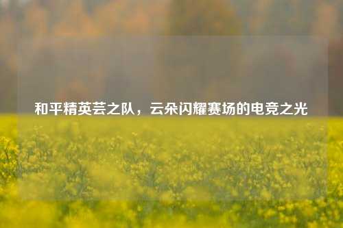 和平精英芸之队，云朵闪耀赛场的电竞之光