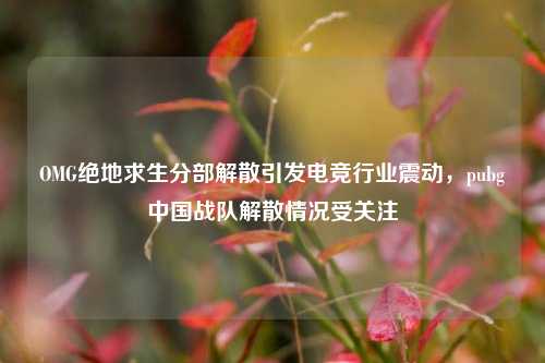 OMG绝地求生分部解散引发电竞行业震动,pubg中国战队解散情况受关注