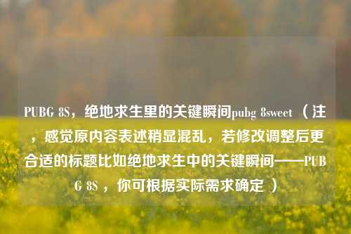 PUBG 8S，绝地求生里的关键瞬间pubg 8sweet （注，感觉原内容表述稍显混乱，若修改调整后更合适的标题比如绝地求生中的关键瞬间——PUBG 8S ，你可根据实际需求确定 ）