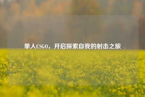 单人CSGO,开启探索自我的射击之旅