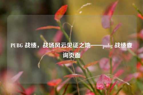 PUBG 战绩，战场风云见证之地——pubg 战绩查询页面