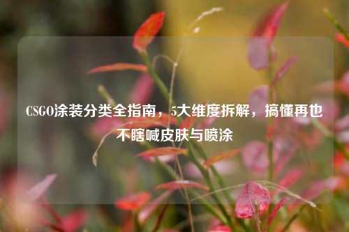 CSGO涂装分类全指南,5大维度拆解,搞懂再也不瞎喊皮肤与喷涂