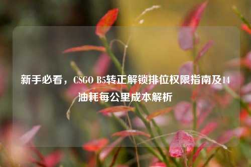新手必看,CSGO B5转正解锁排位权限指南及14油耗每公里成本解析