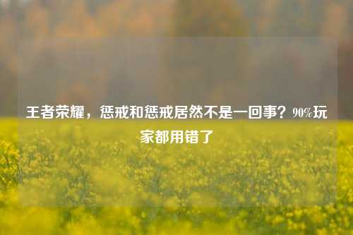 王者荣耀,惩戒和惩戒居然不是一回事?90%玩家都用错了