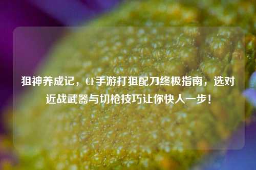 狙神养成记，CF手游打狙配刀终极指南，选对近战武器与切枪技巧让你快人一步！