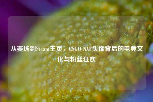 从赛场到Steam主页，CSGO NAF头像背后的电竞文化与粉丝狂欢