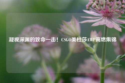 凝视深渊的致命一击！CSGO美杜莎AWP高燃集锦