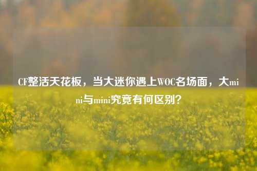 CF整活天花板，当大迷你遇上WOC名场面，大mini与mini究竟有何区别？