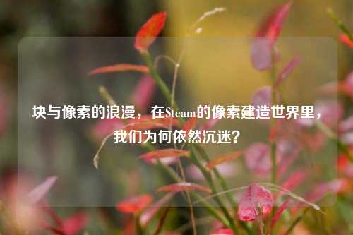 块与像素的浪漫，在Steam的像素建造世界里，我们为何依然沉迷？