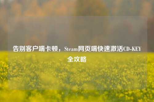 告别客户端卡顿,Steam网页端快速激活CD-KEY全攻略