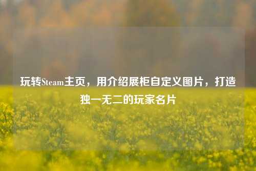 玩转Steam主页，用介绍展柜自定义图片，打造独一无二的玩家名片