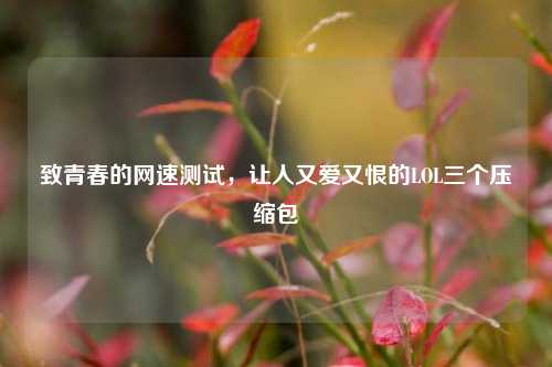 致青春的网速测试,让人又爱又恨的LOL三个压缩包