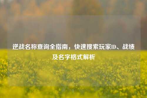 逆战名称查询全指南，快速搜索玩家ID、战绩及名字格式解析