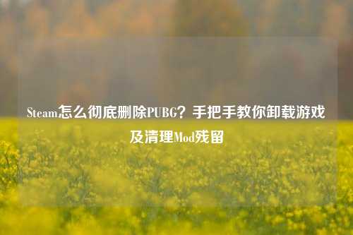 Steam怎么彻底删除PUBG？手把手教你卸载游戏及清理Mod残留
