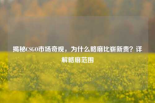 揭秘CSGO市场奇观，为什么略磨比崭新贵？详解略磨范围