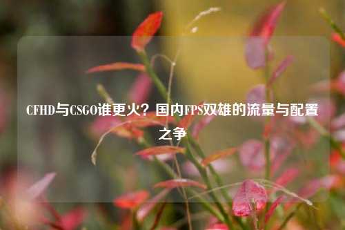 CFHD与CSGO谁更火？国内FPS双雄的流量与配置之争
