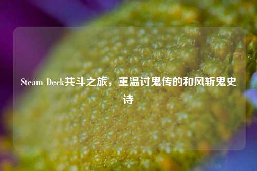 Steam Deck共斗之旅，重温讨鬼传的和风斩鬼史诗