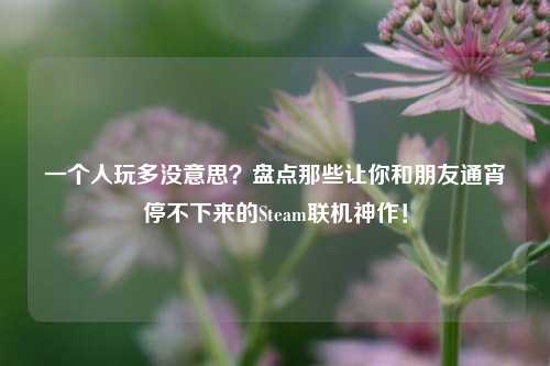 一个人玩多没意思？盘点那些让你和朋友通宵停不下来的Steam联机神作！