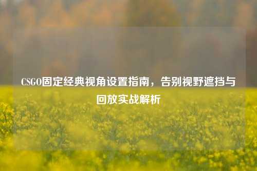 CSGO固定经典视角设置指南，告别视野遮挡与回放实战解析