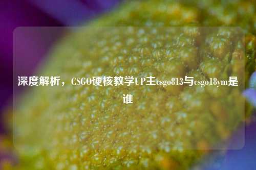 深度解析,CSGO硬核教学UP主csgo813与csgo18ym是谁
