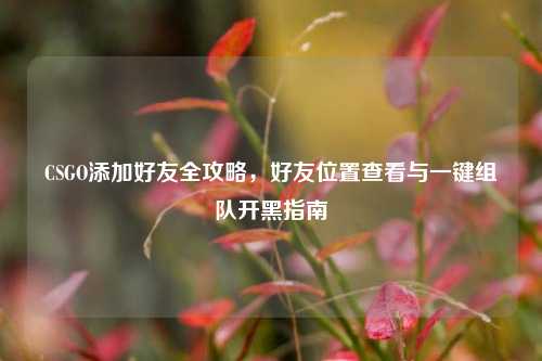 CSGO添加好友全攻略，好友位置查看与一键组队开黑指南