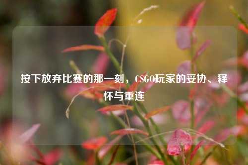 按下放弃比赛的那一刻，CSGO玩家的妥协、释怀与重连