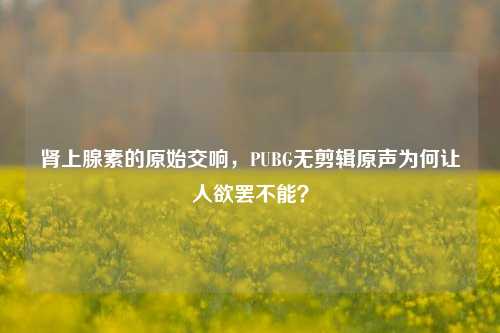 肾上腺素的原始交响，PUBG无剪辑原声为何让人欲罢不能？