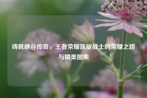 铸就峡谷传奇，王者荣耀凯旋战士的荣耀之路与精美图集
