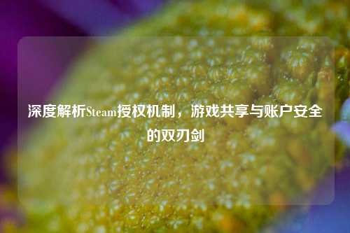 深度解析Steam授权机制，游戏共享与账户安全的双刃剑