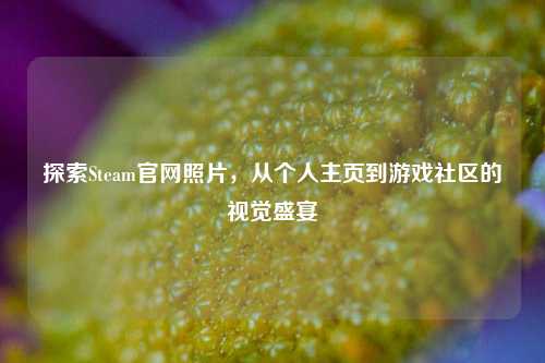 探索Steam官网照片，从个人主页到游戏社区的视觉盛宴