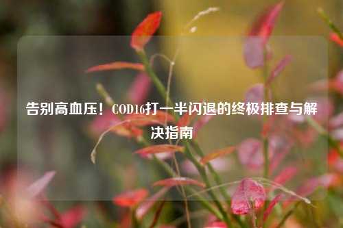 告别高血压!COD16打一半闪退的终极排查与解决指南