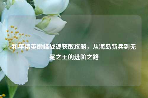 和平精英巅峰战魂获取攻略，从海岛新兵到无冕之王的进阶之路