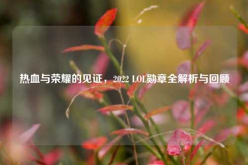 热血与荣耀的见证，2022 LOL勋章全解析与回顾