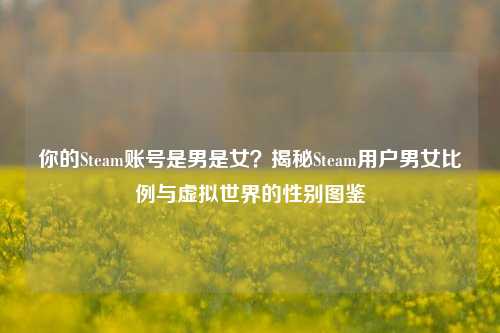 你的Steam账号是男是女?揭秘Steam用户男女比例与虚拟世界的性别图鉴