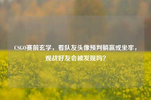 CSGO赛前玄学，看队友头像预判躺赢或坐牢，观战好友会被发现吗？